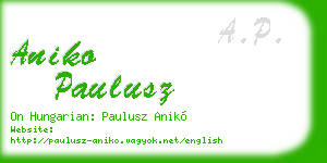 aniko paulusz business card
